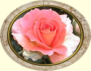 Brass Band