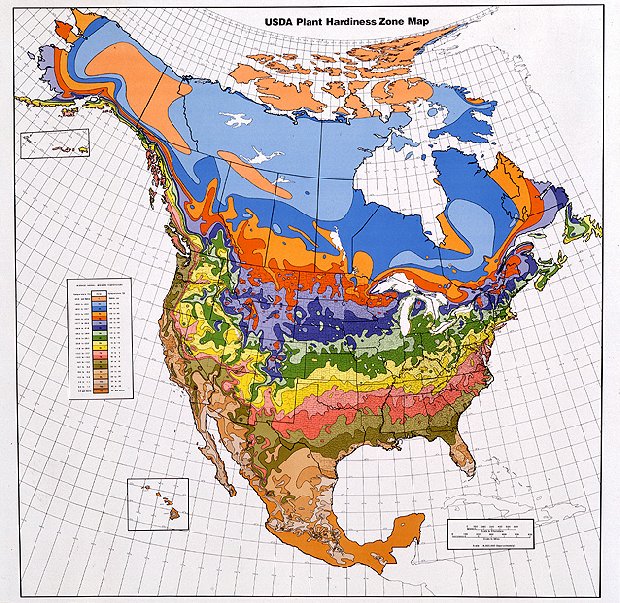 North America